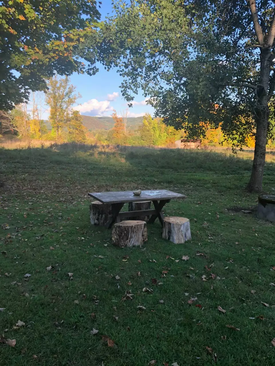 The Digital Properties Emergence
