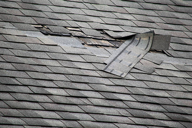 Damaged Or Missing Exterior Shingles
