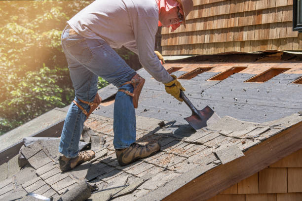 Roof Replacement