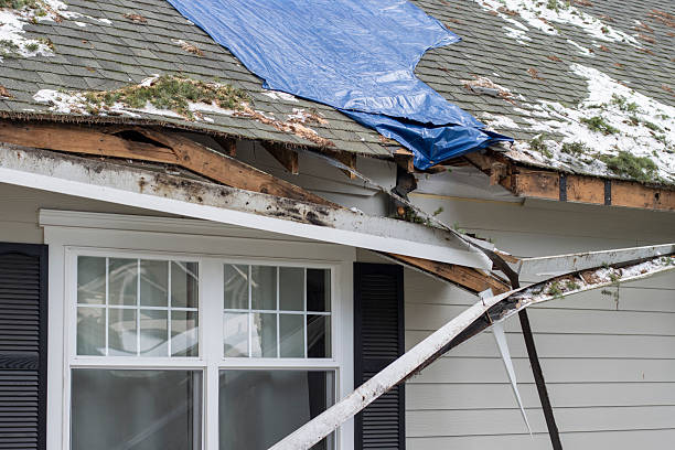 Maple Grove Homeowners